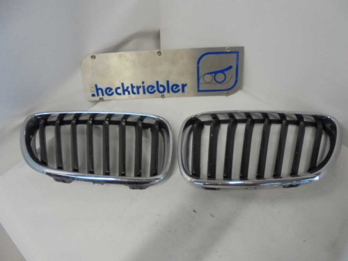 Orig_2er_BMW_F22_F23_Ziergitter_Front_vorne_BMW-Nieren_2_