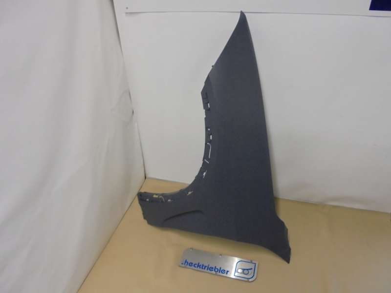 original_BMW_X5_F15_Seitenwand_vorne_links_Kotfl_gel_3_