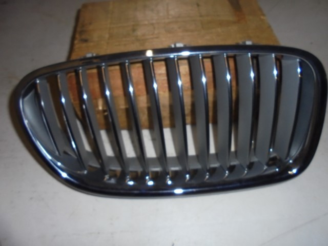 BMW_5er_Ziergitter_Front_rechts_F10_F11_51137203650_1_