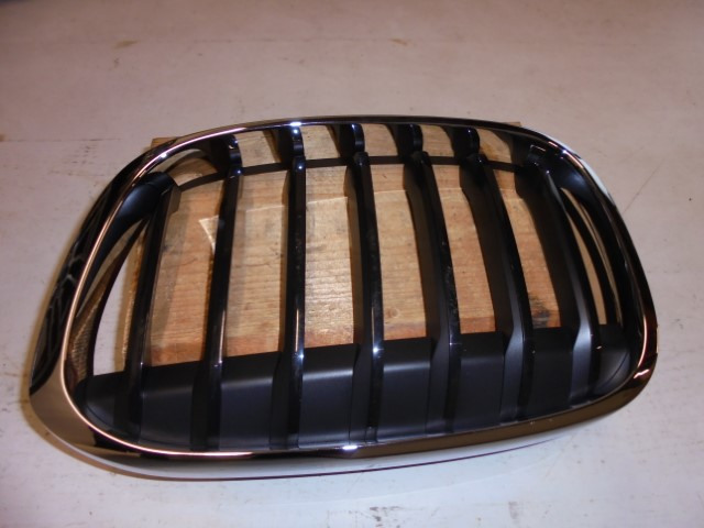 BMW_X1_Ziergitter_Front_links_F48_51137354823_1_