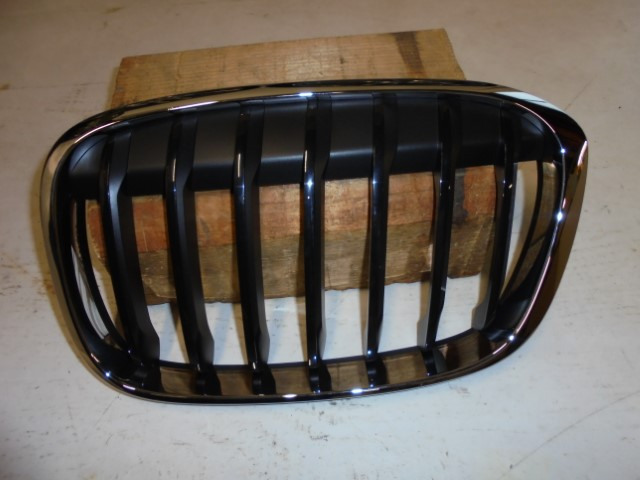 BMW_X1_Ziergitter_Front_links_F48_51137354823_2_