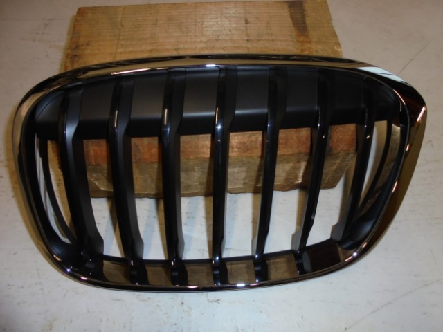 BMW_X1_Ziergitter_Front_links_F48_51137354823_3_