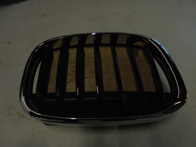 BMW_X1_Ziergitter_Front_rechts_F48_51137354824_2_