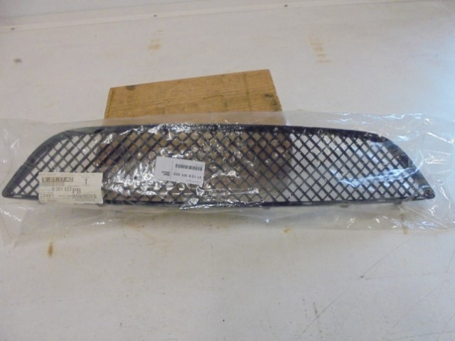 Gitter_Mitte_Frontsch_rze_1er_BMW_E81_E87_und_LCI_51130301933_2_